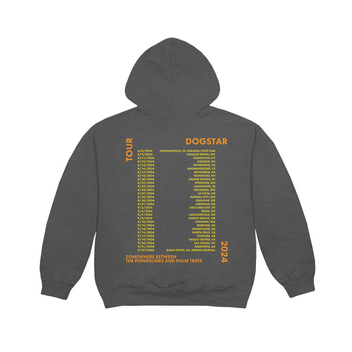 Dogstar Split Palm Trees Tour Hoodie